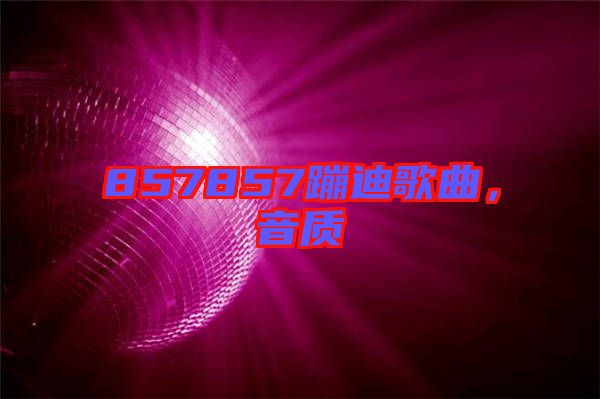 857857蹦迪歌曲,音質
