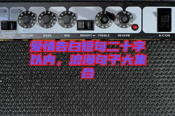 愛(ài)情告白短句二十字以內(nèi),浪漫句子大集合