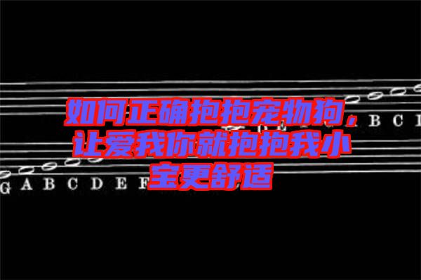 如何正確抱抱寵物狗，讓愛我你就抱抱我小寶更舒適