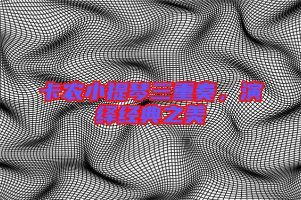 卡農(nóng)小提琴三重奏,演繹經(jīng)典之美