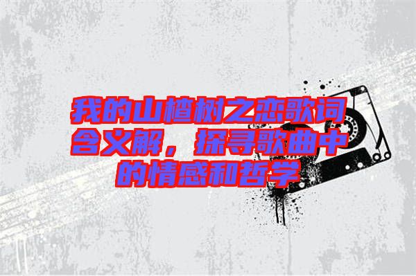 我的山楂樹之戀歌詞含義解,探尋歌曲中的情感和哲學(xué)