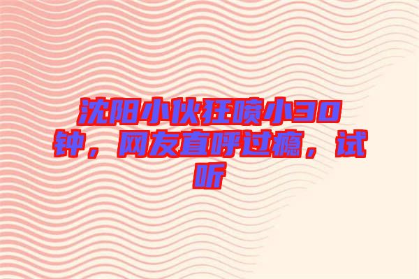 沈陽小伙狂噴小30鐘,網友直呼過癮,試聽