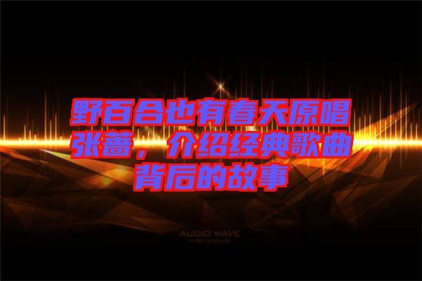 野百合也有春天原唱張薔,介紹經(jīng)典歌曲背后的故事