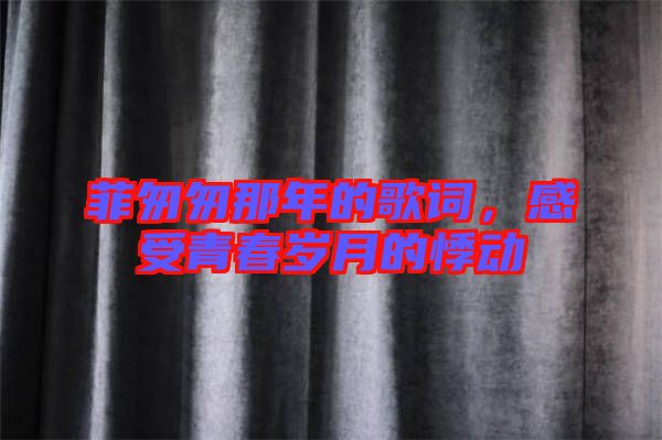 菲匆匆那年的歌詞，感受青春歲月的悸動