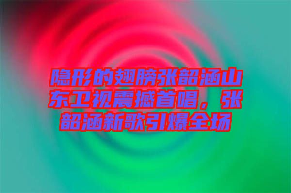 隱形的翅膀張韶涵山東衛(wèi)視震撼首唱,張韶涵新歌引爆全場(chǎng)